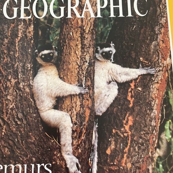 NWOT Collectible Vintage National Geographic Centennial August 1988 Vol 174 No 2 - Picture 7 of 16